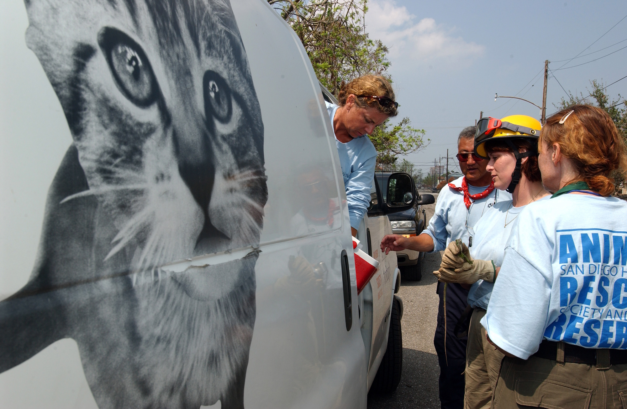 The animal rescue league takes care of a lizard that was found in mud in a house damaged by Hurricane Katrina. New Orleans, LA, September 18, 2005